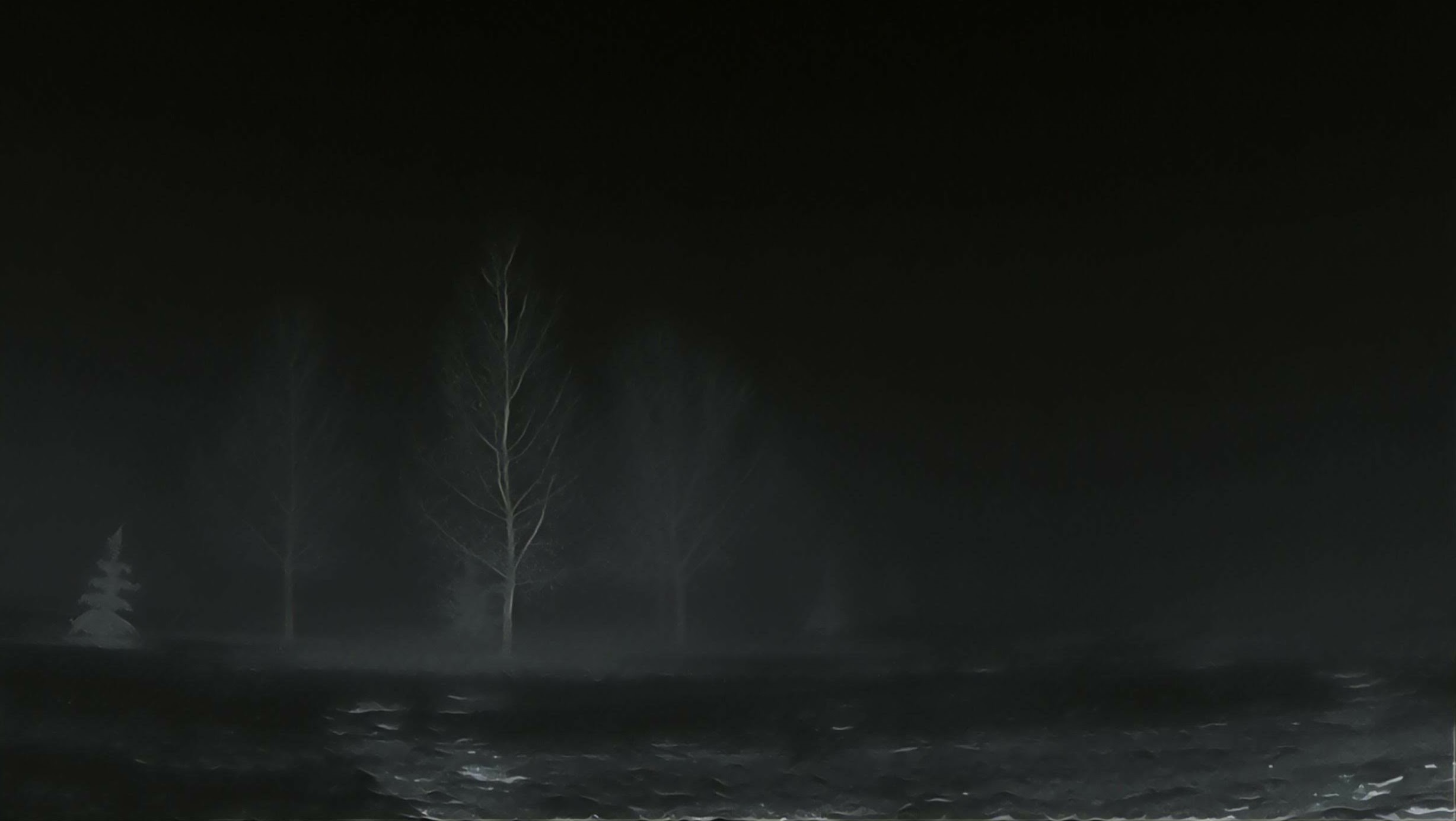 Inverted silhouettes of trees in the fog.