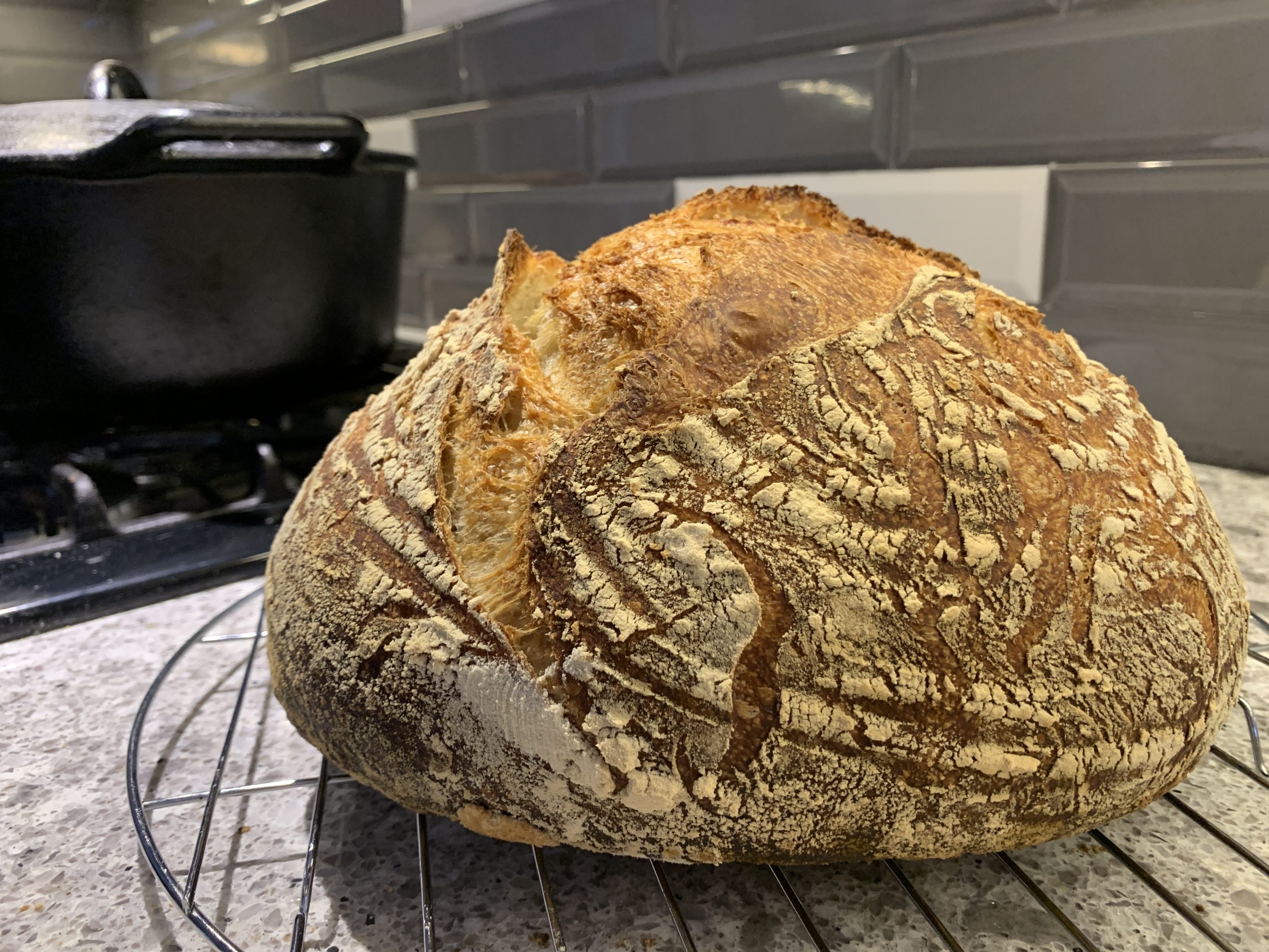 A loaf of sourdough cools on the countertop.