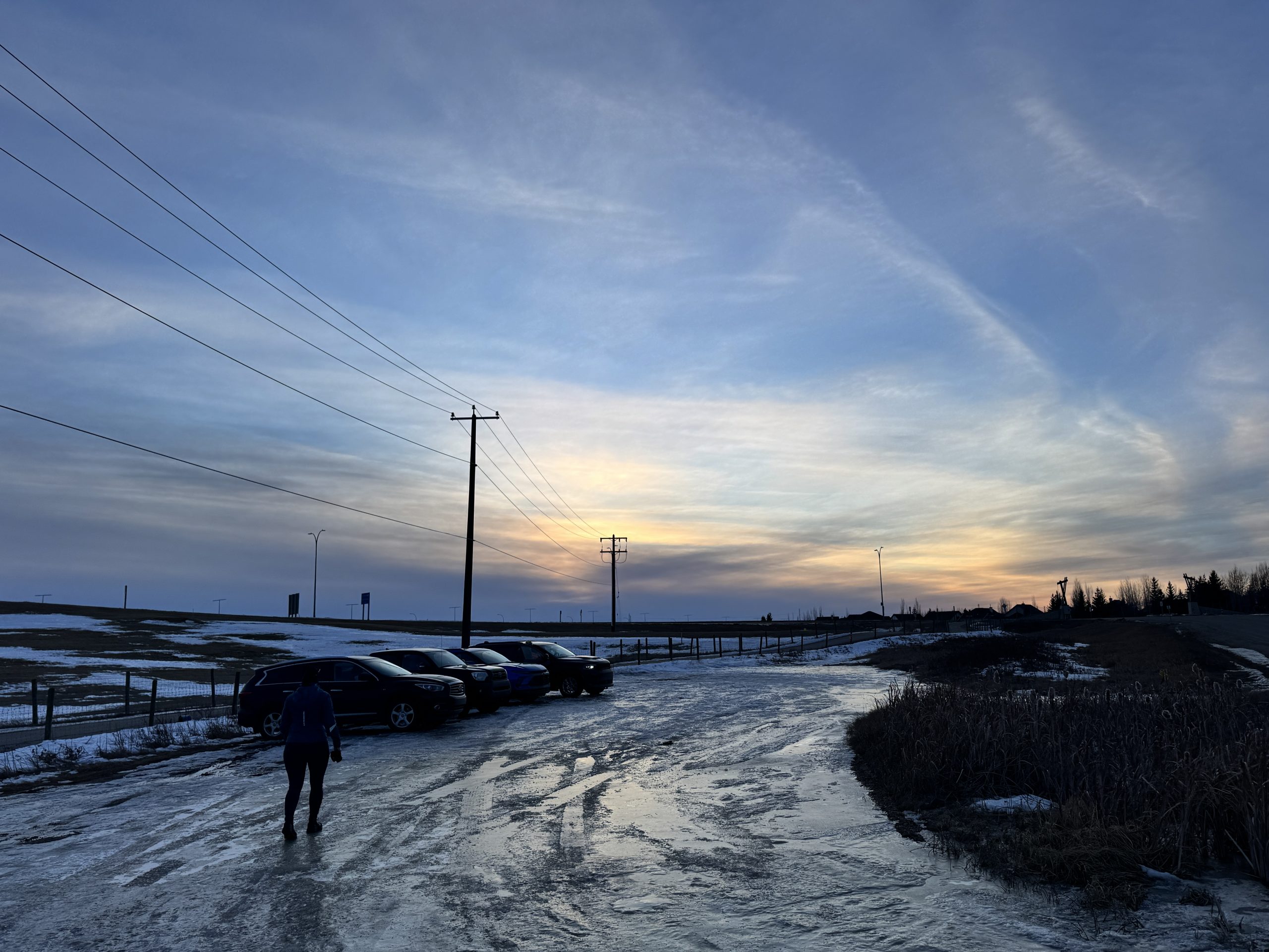 book reviews: simple sci fi