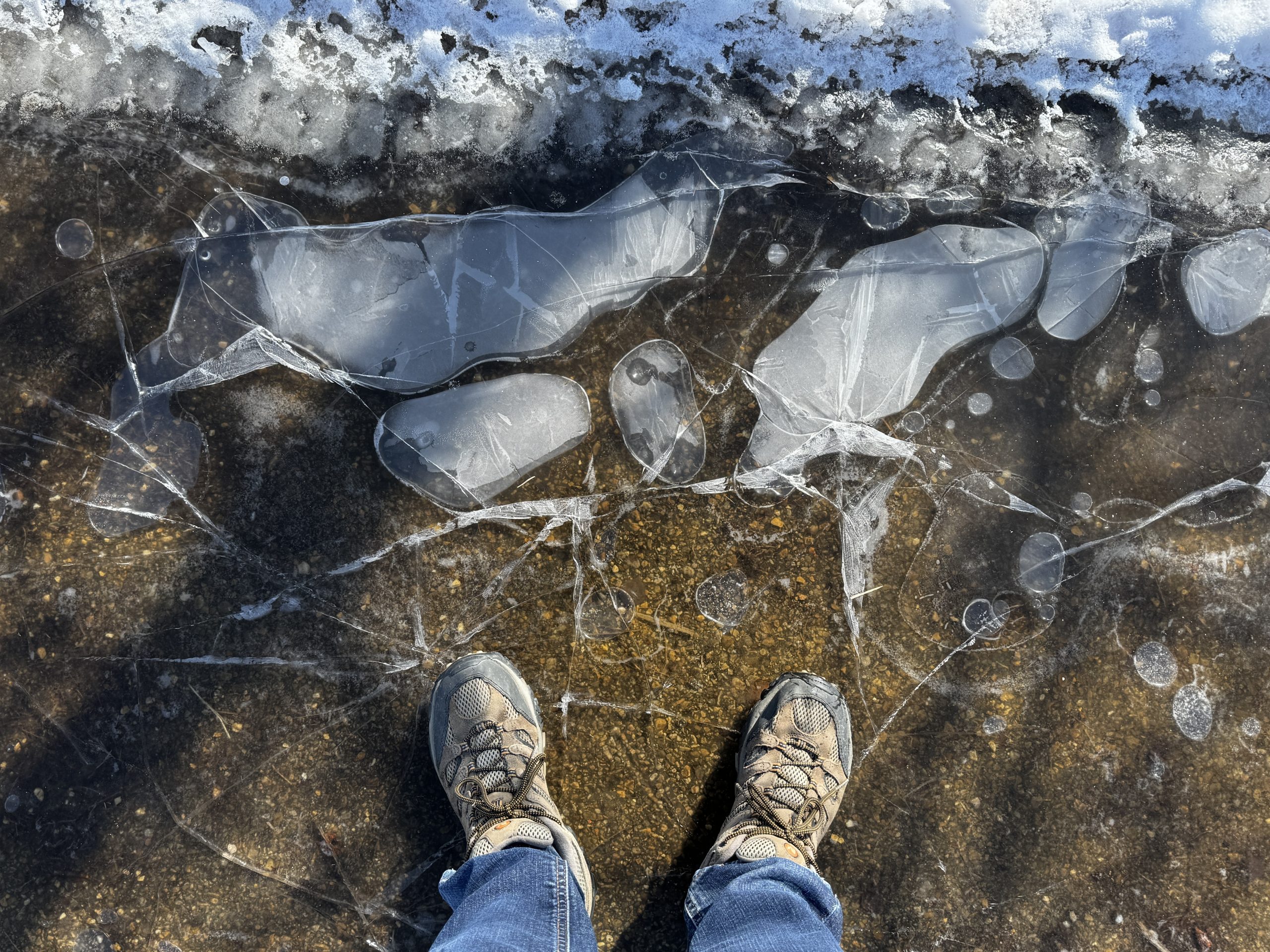 fifty walks, walk one