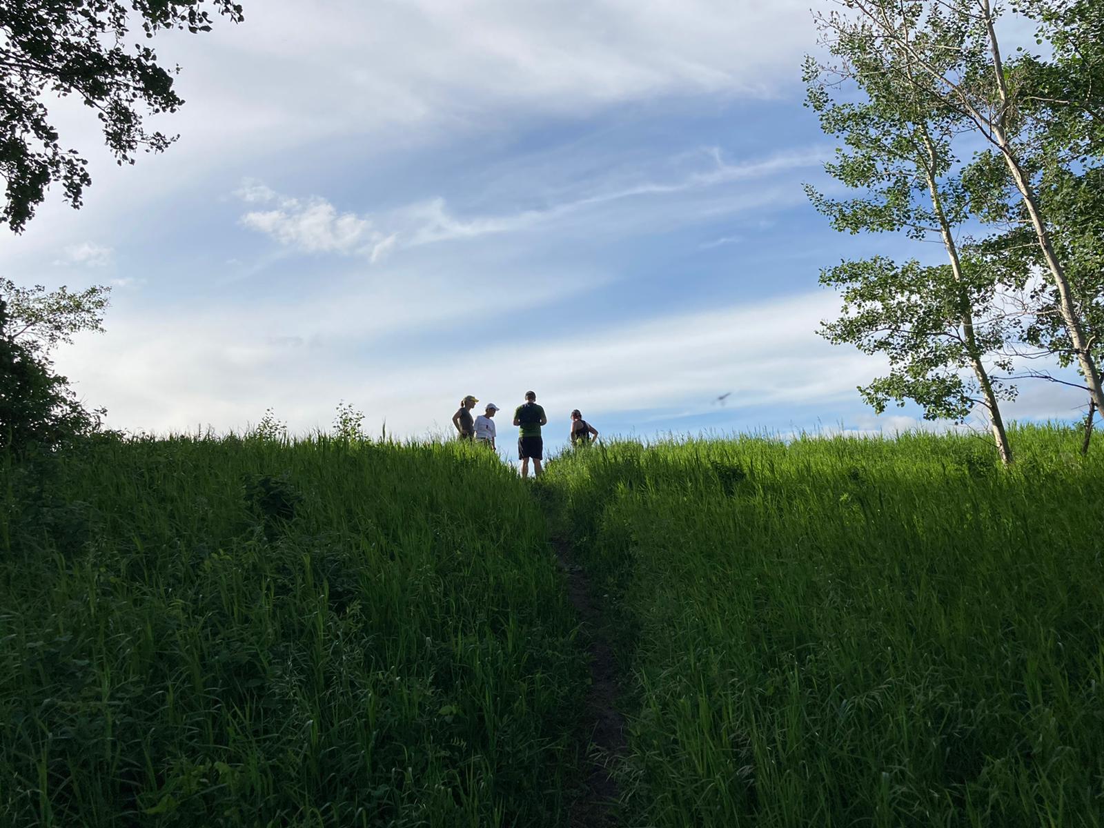 Runners standing at the edge of a wooded trail.