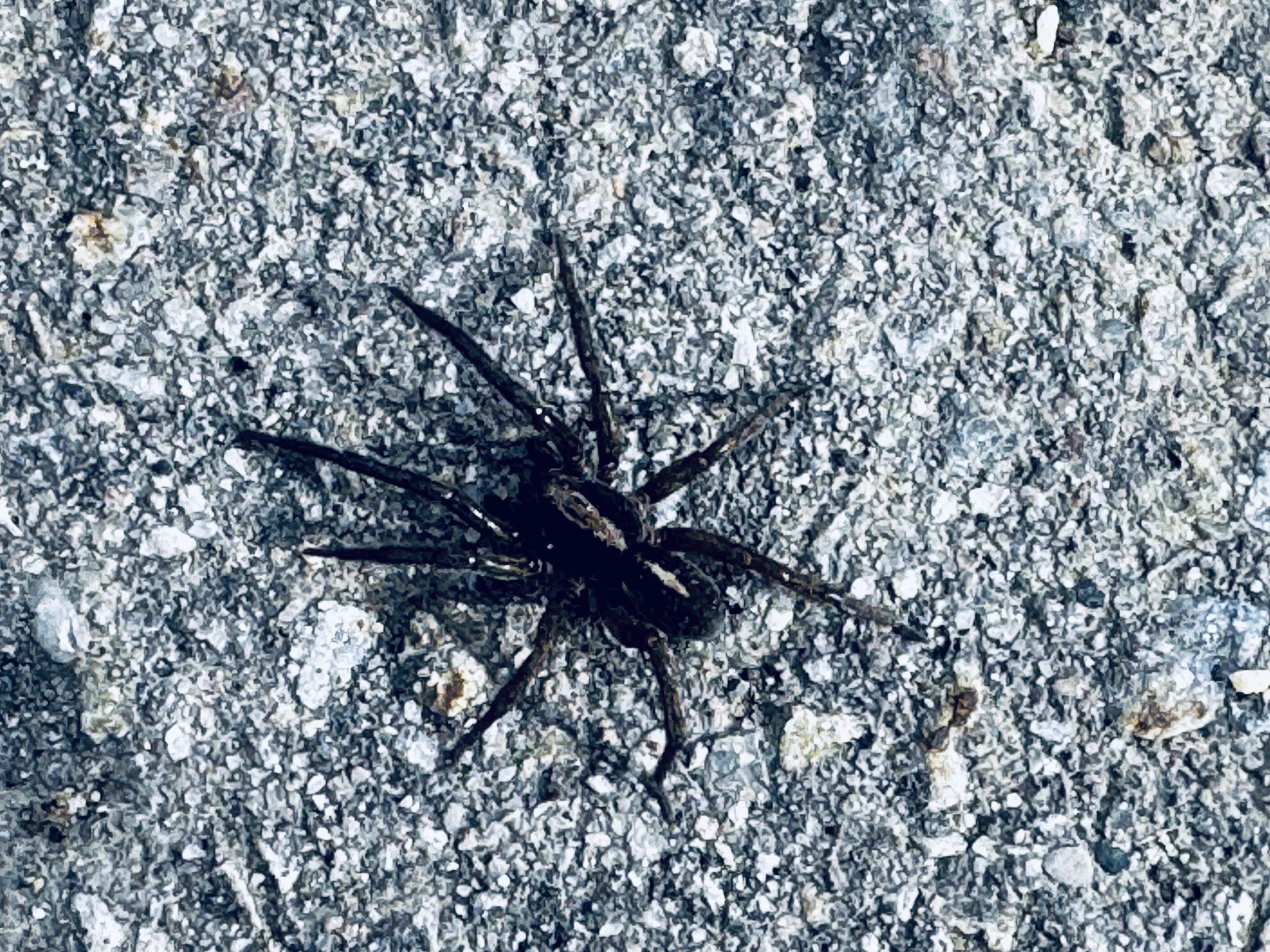 media: love, robots & cowboys