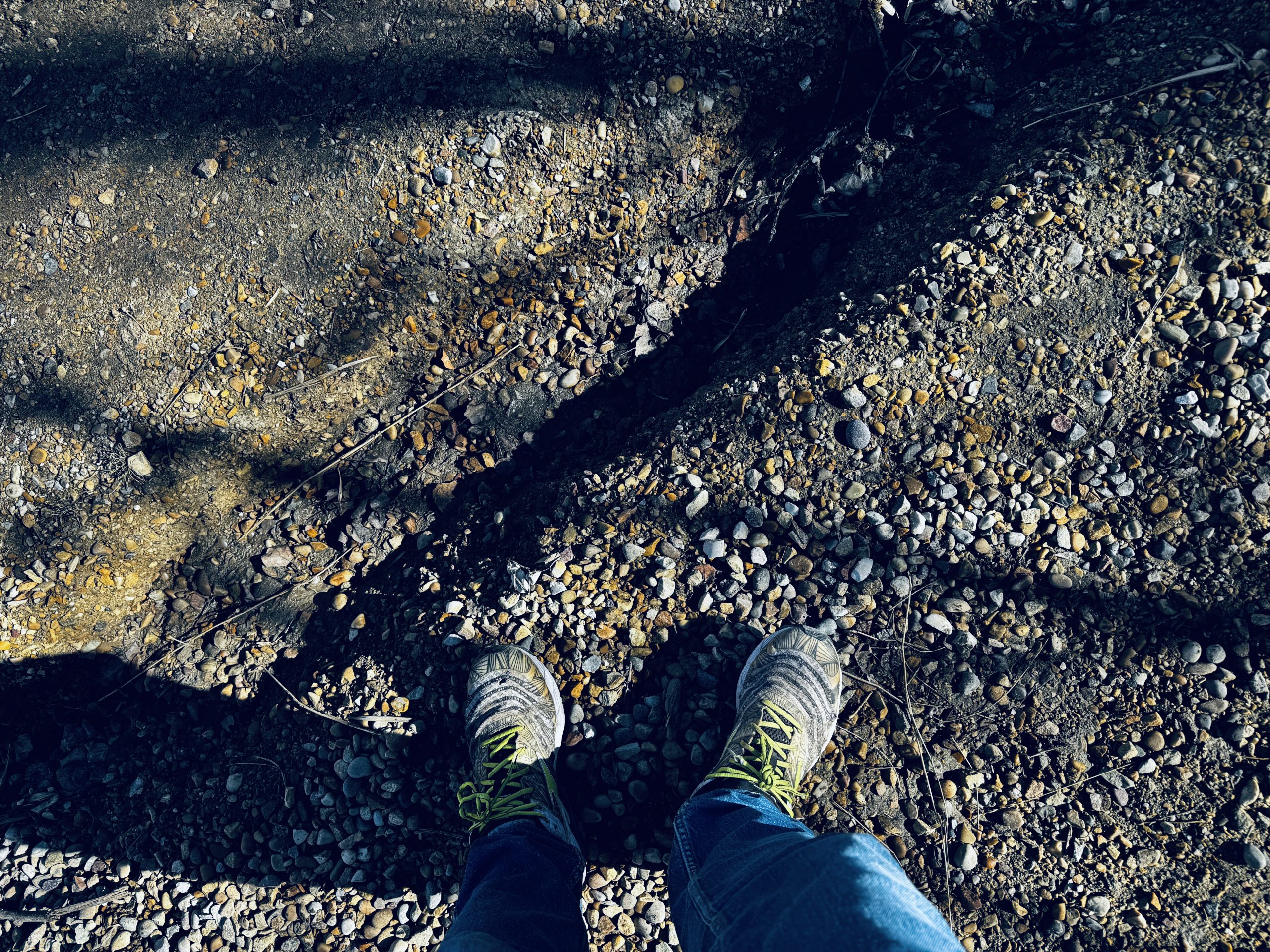 fifty walks, walk three