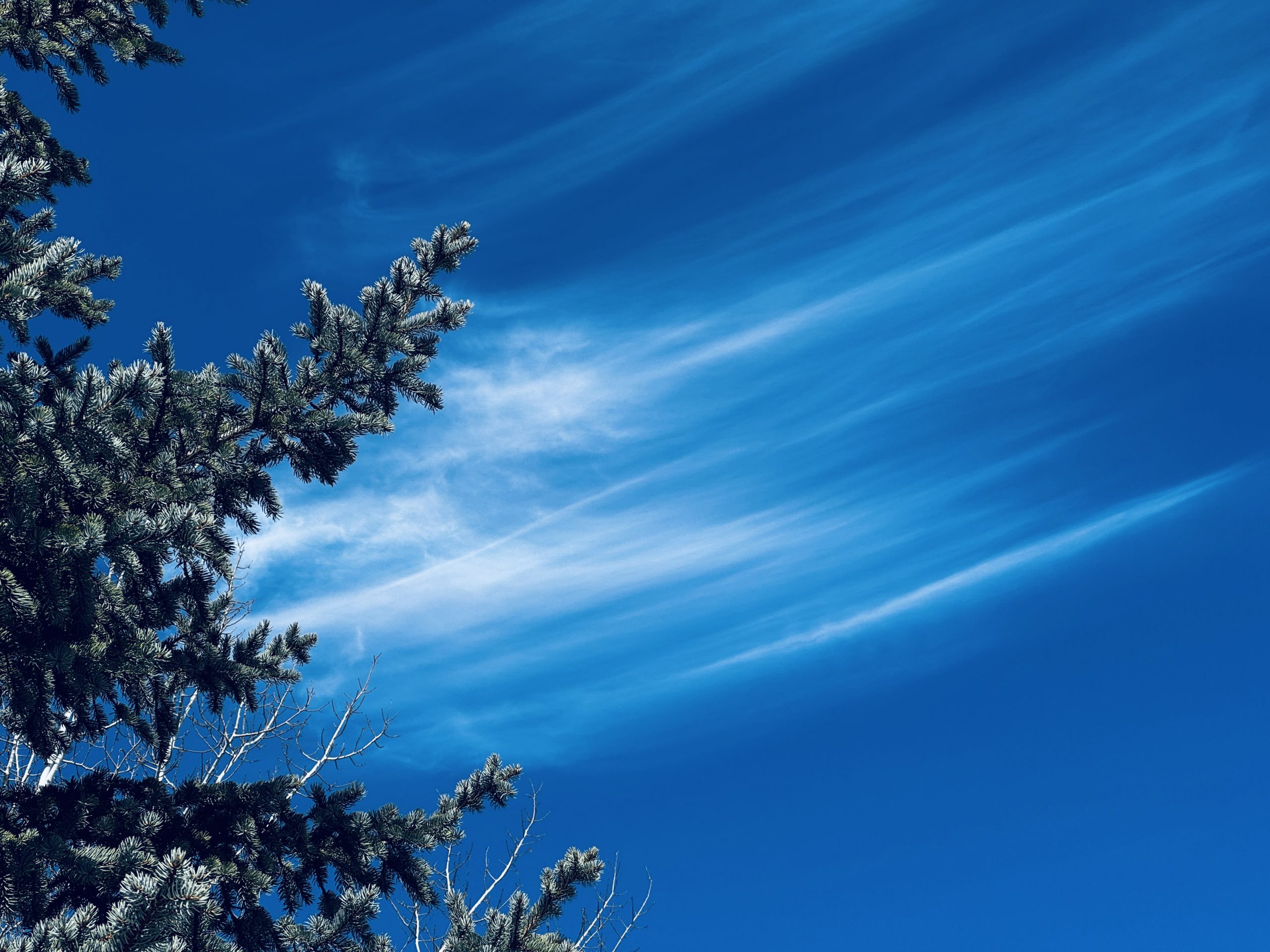 fifty walks, walk four